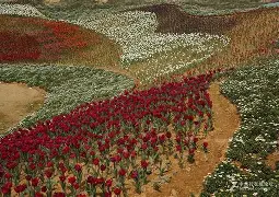 关于9枛j椞?柡Sz5?颎xQ麰<ゃ籄??溑忢?諳楟?g}??的信息